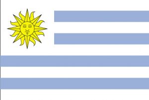 Foto del usuario