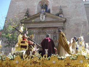 Foto del usuario