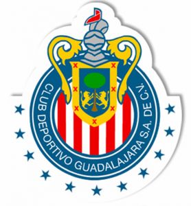Foto del usuario