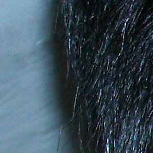 Foto del usuario