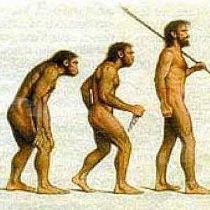 Foto del usuario