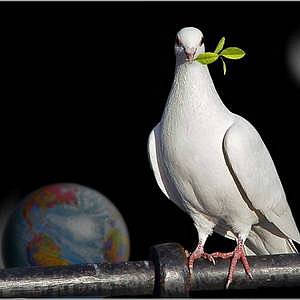 Foto del usuario