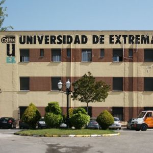 Foto del usuario