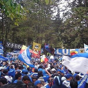 Foto del usuario