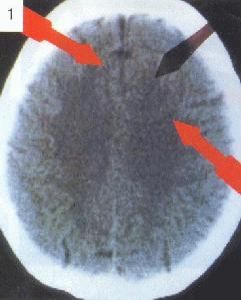 Foto del usuario