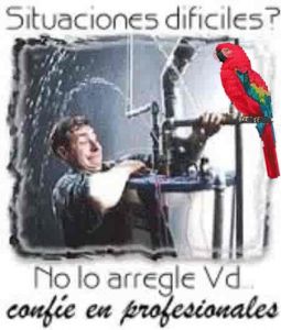 Foto del usuario