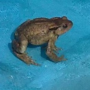Foto del usuario