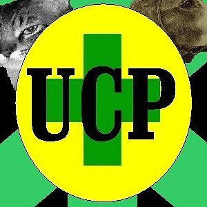 Foto del usuario