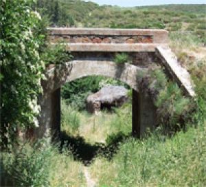 Foto del usuario
