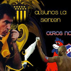 Foto del usuario