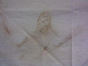 Foto del usuario
