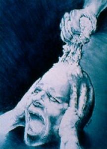 Foto del usuario