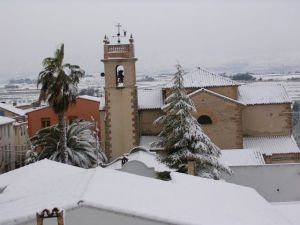 Foto del usuario