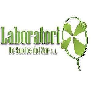 Foto del usuario