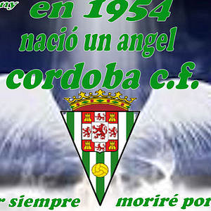 Foto del usuario