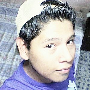 Foto del usuario