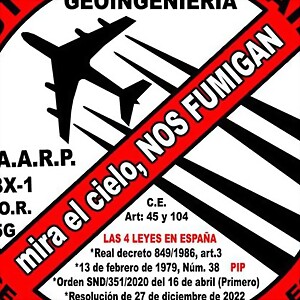 Foto del usuario